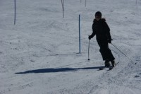 Prüfung im Stangenwald