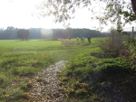 Cross-Duathlon