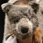 bild07