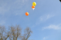 Bild6