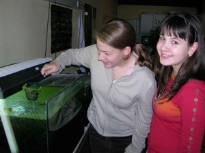 Aquariumraum