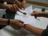 Chemie 8/9/10