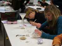 Chemie 8/9/10