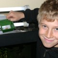Bild 11
