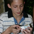 Bild 17