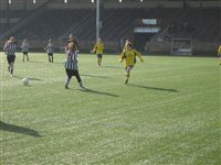 Stadtmeisterschaft  2011