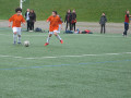 Bild33