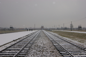 Einfahrtstor
