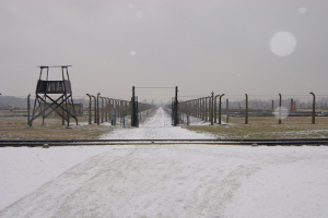 Auschwitz-Birkenau